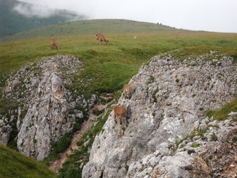 Similar image 747939