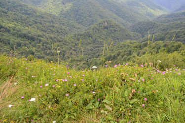 Similar image 747940