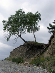 Similar image 748027