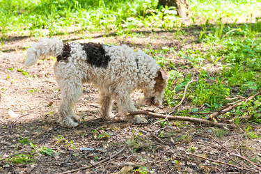 Similar image 748054