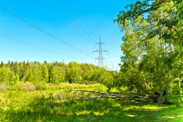 Similar image 748060