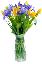 Similar image 748077