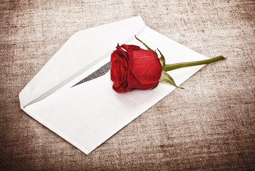 Similar image 748147