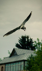 Similar image 748180