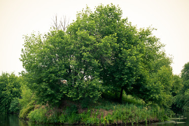 Similar image 748184