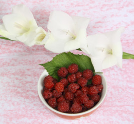 Similar image 748204