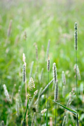 Similar image 748206