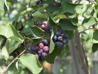 Similar image 748233