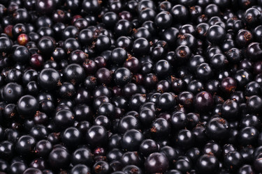 Similar image 748293