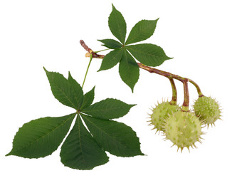 Similar image 748336