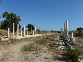 Similar image 748376