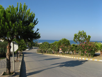 Similar image 748402