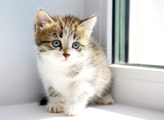 Similar image 748436