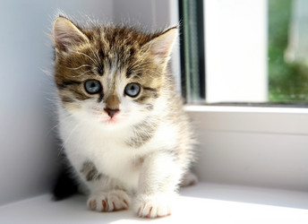 Similar image 748437