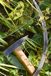 Similar image 748438