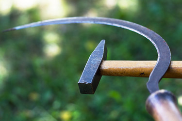 Similar image 748441