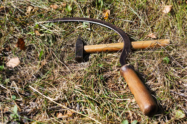 Similar image 748442