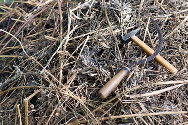 Similar image 748443