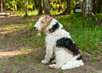 Similar image 748445