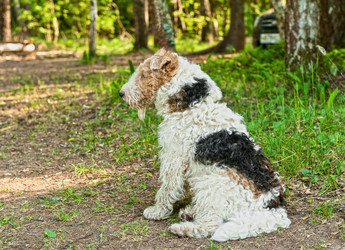 Similar image 748446