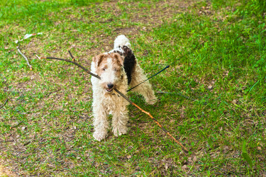 Similar image 748447