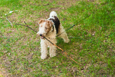 Similar image 748448