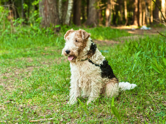 Similar image 748449