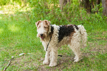 Similar image 748451