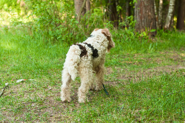 Similar image 748454