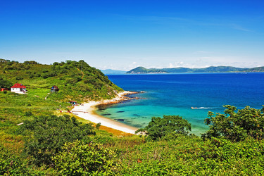 Similar image 748519