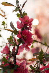 Similar image 748616