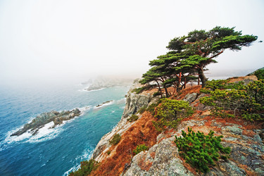 Similar image 748627