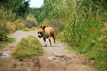 Similar image 748634