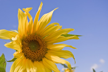 Similar image 748675