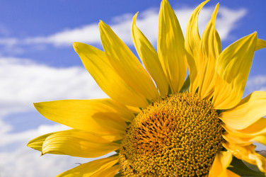 Similar image 748677