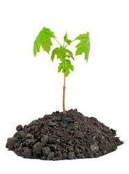 Similar image 748724