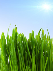 Similar image 748734