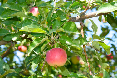 Similar image 748740