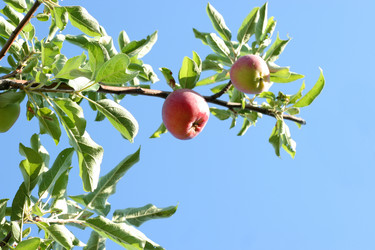 Similar image 748744