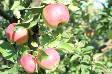 Similar image 748743