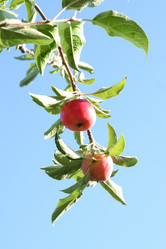 Similar image 748746