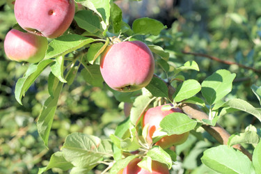 Similar image 748748