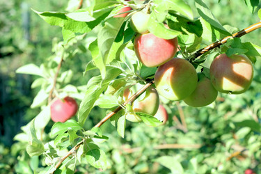 Similar image 748749