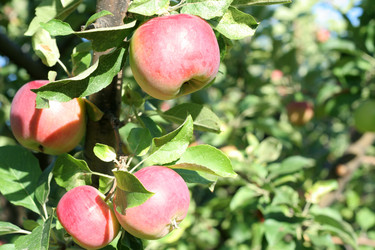 Similar image 748753