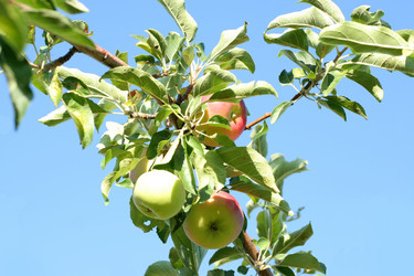 Similar image 748755