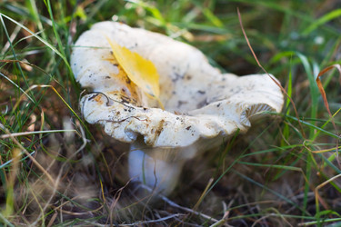 Similar image 748763