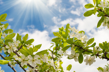 Similar image 748799