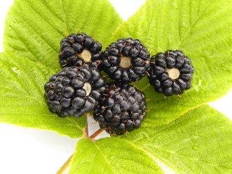 Similar image 748807