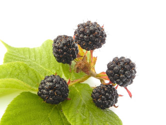 Similar image 748808