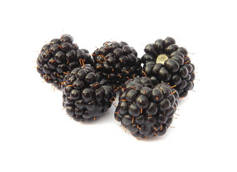 Similar image 748809